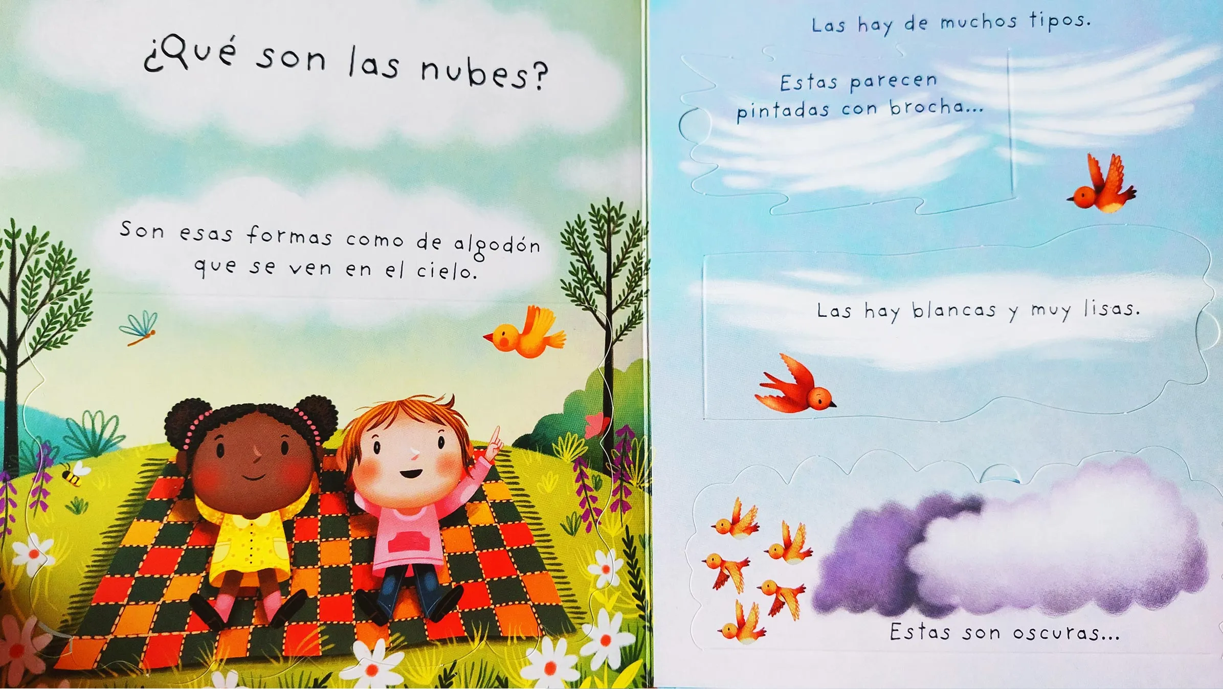 ¿QUE SON LAS NUBES? PEQUEÑAS GRANDES PREGUNTAS - Imagen 2