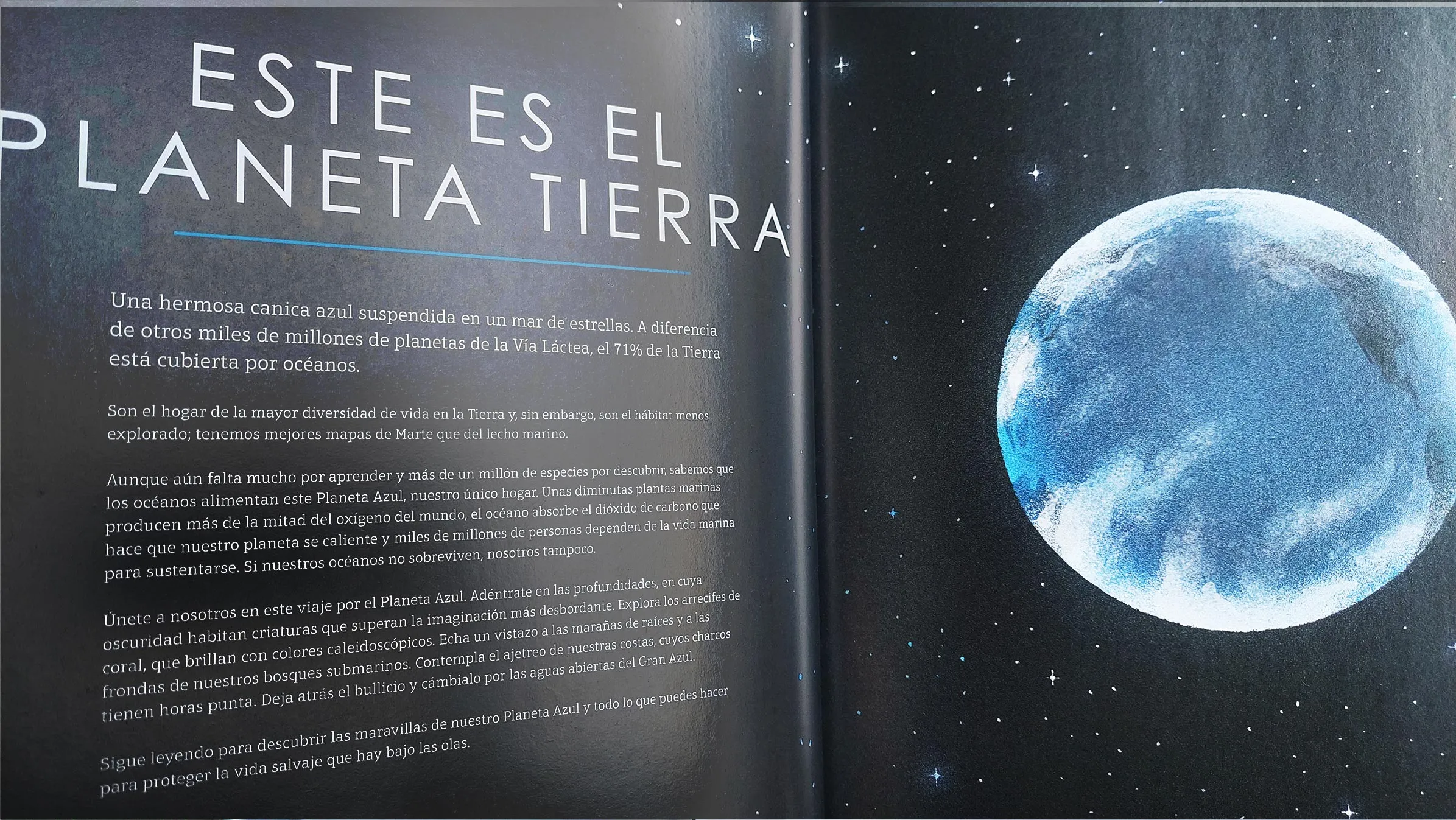 PLANETA AZUL II - Imagen 4