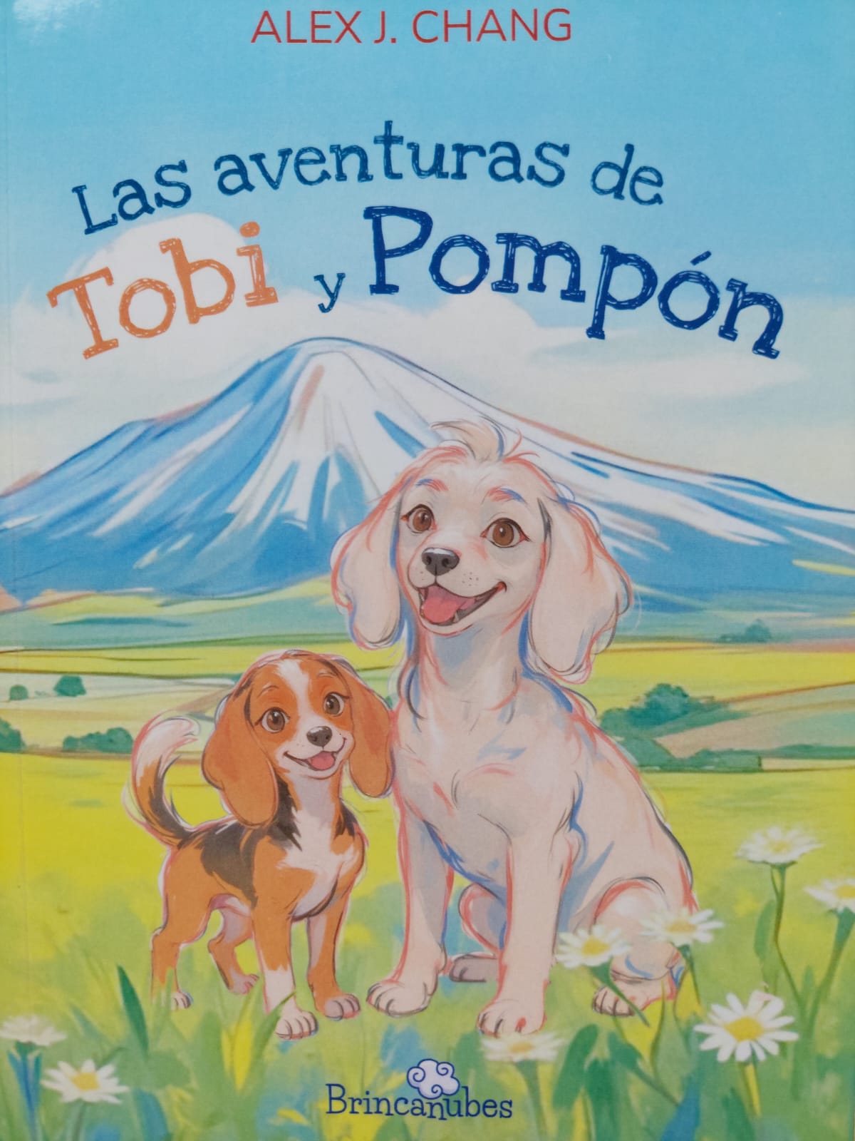 LAS-AVENTURAS-DE-TOBI-Y-POMPÓM